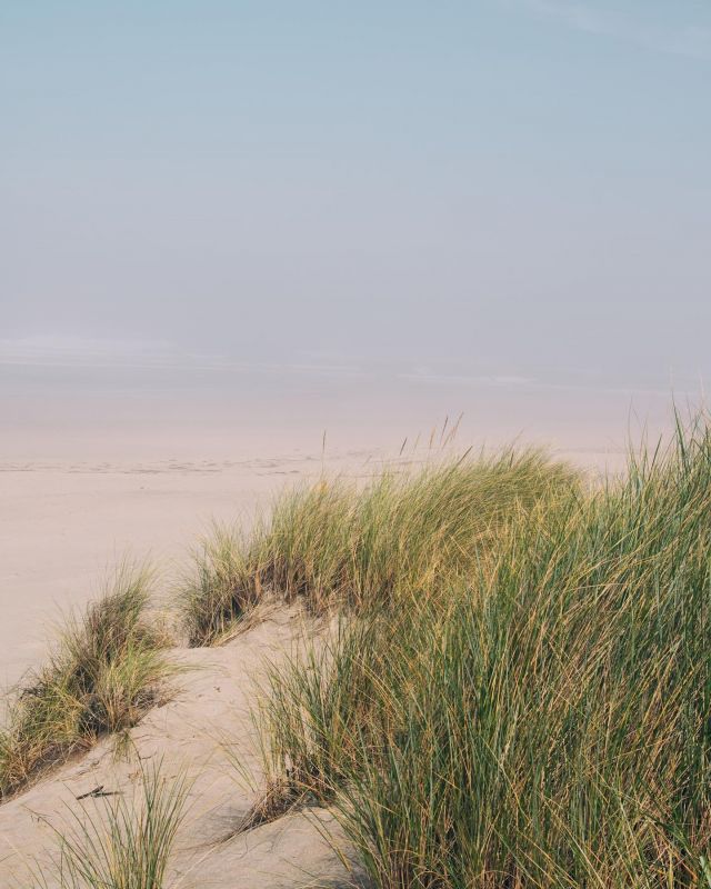 Beach views, Tidal flats, saltwater marshes, and forested wetlands at Sitka Sedge  State Natural Area in Oregon.

#oregoncoast #pacificnorthwest #pacificcoast #pacificnorthwestisbest #pnw #thegreatpnw #pnwlife #pnwisbest #pacificnw #pnwwonderland #leftcoast #upperleft #upperleftusa #exploreoregon #andrewandcraig